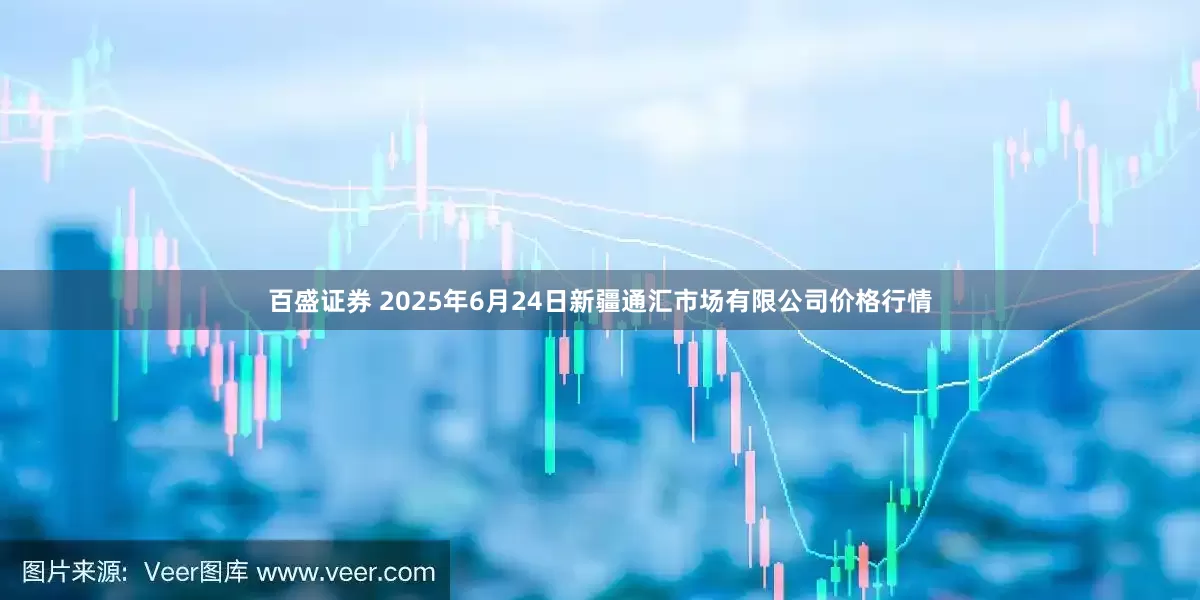 百盛证券 2025年6月24日新疆通汇市场有限公司价格行情